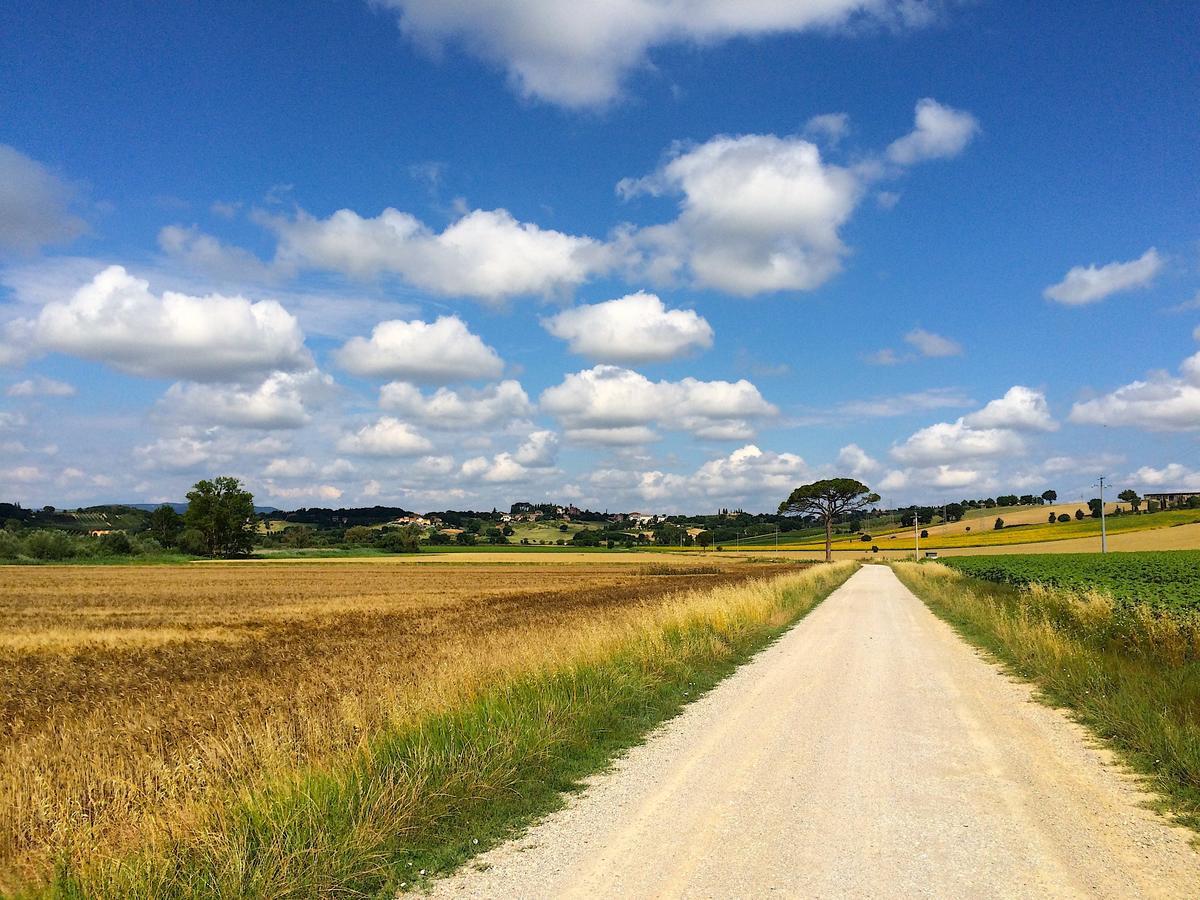 Agriturismo Poggio Antico Binami Dış mekan fotoğraf
